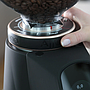 Fiorenzato All Ground Grinder - Deep Black